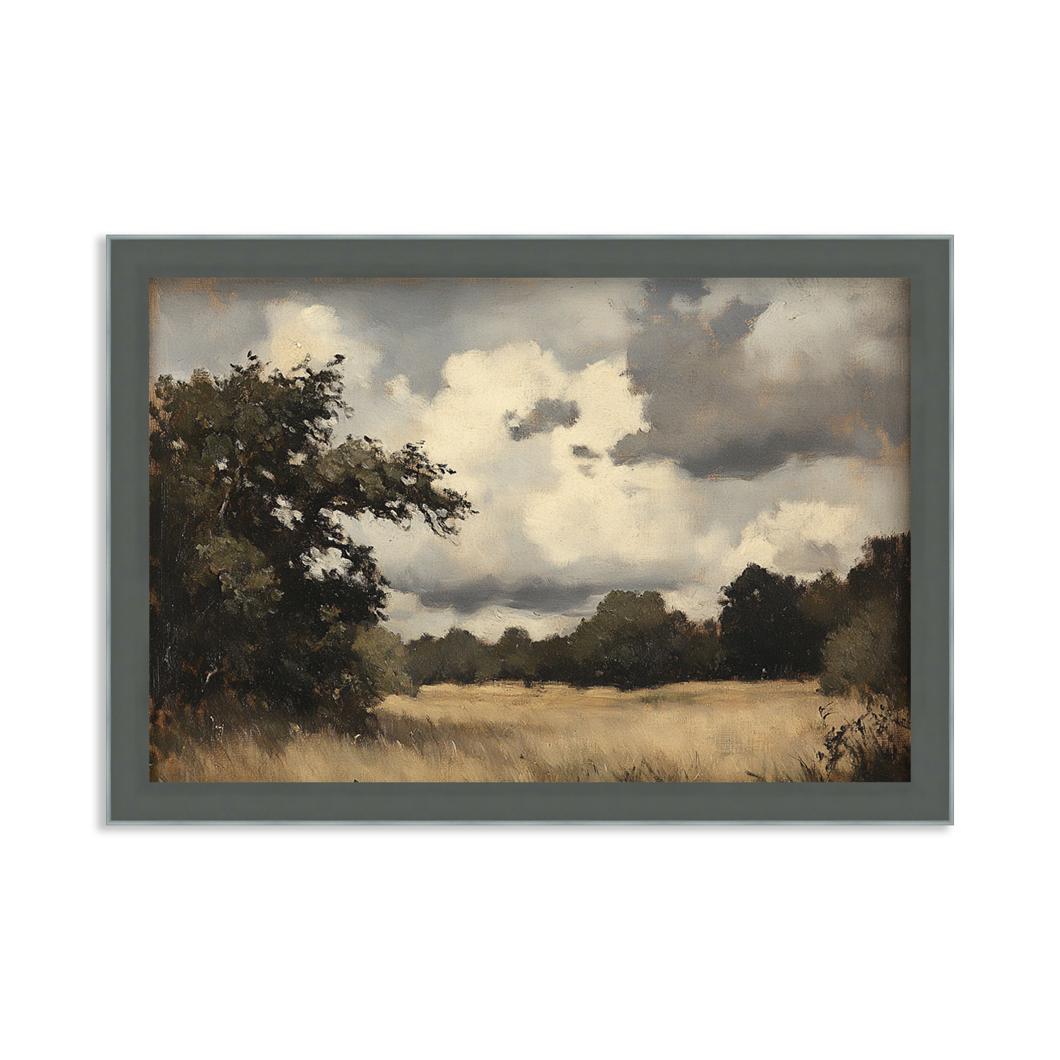 Field Beneath Heavy Skies