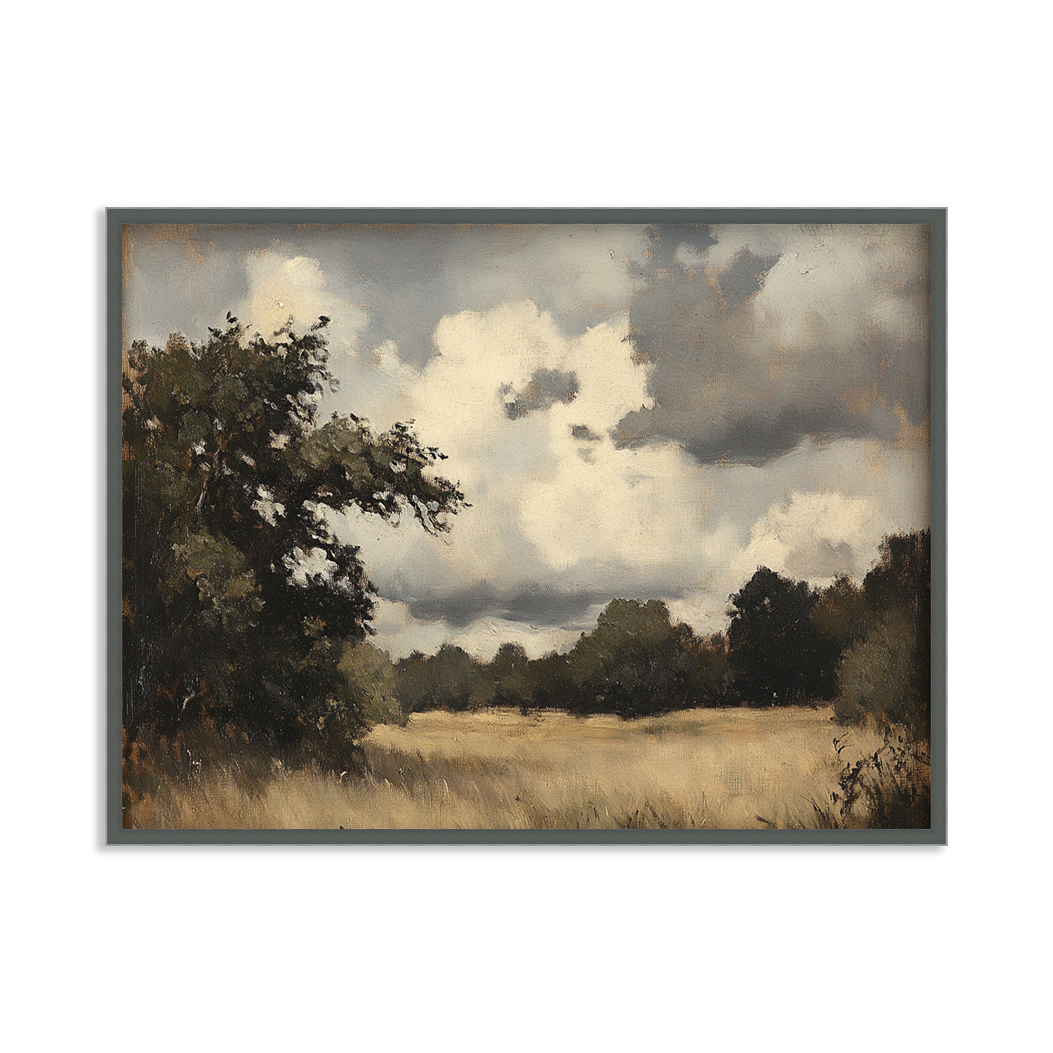 Field Beneath Heavy Skies