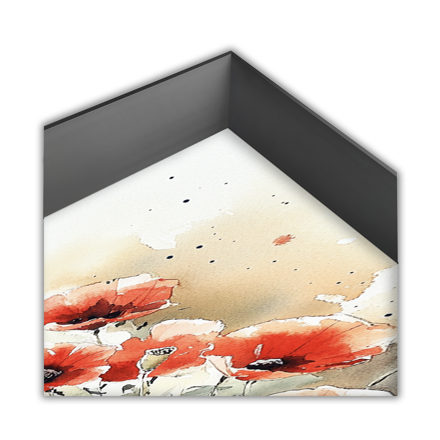 Poppies in Radiant Bloom