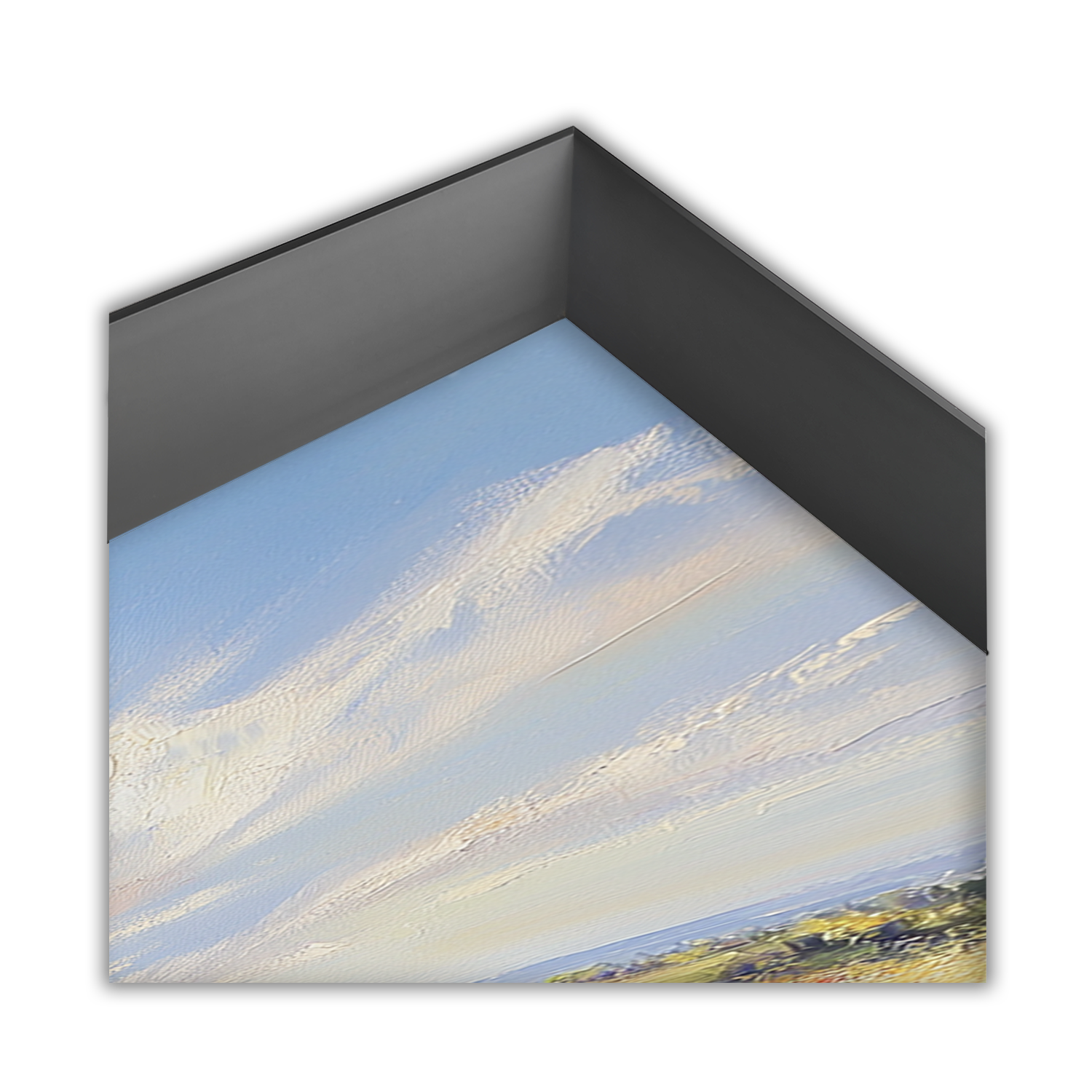 Field of Golden Poppies