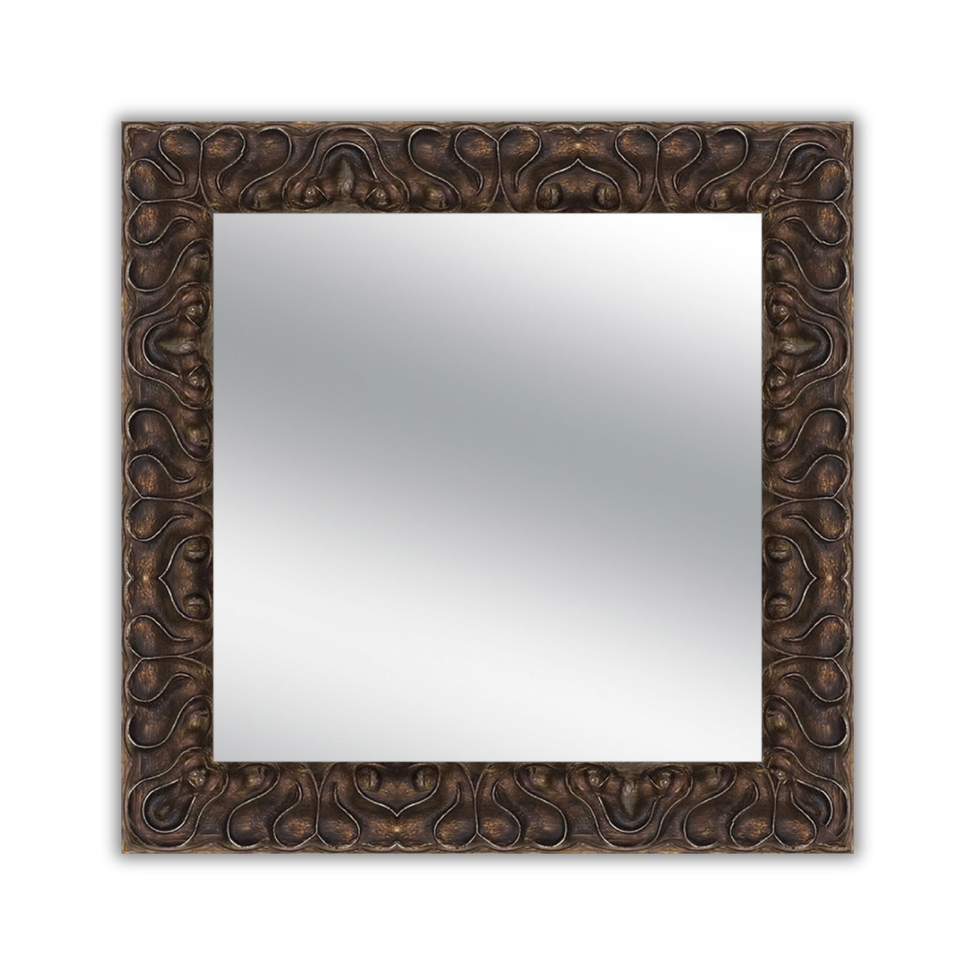 Ornate Mirror Frame