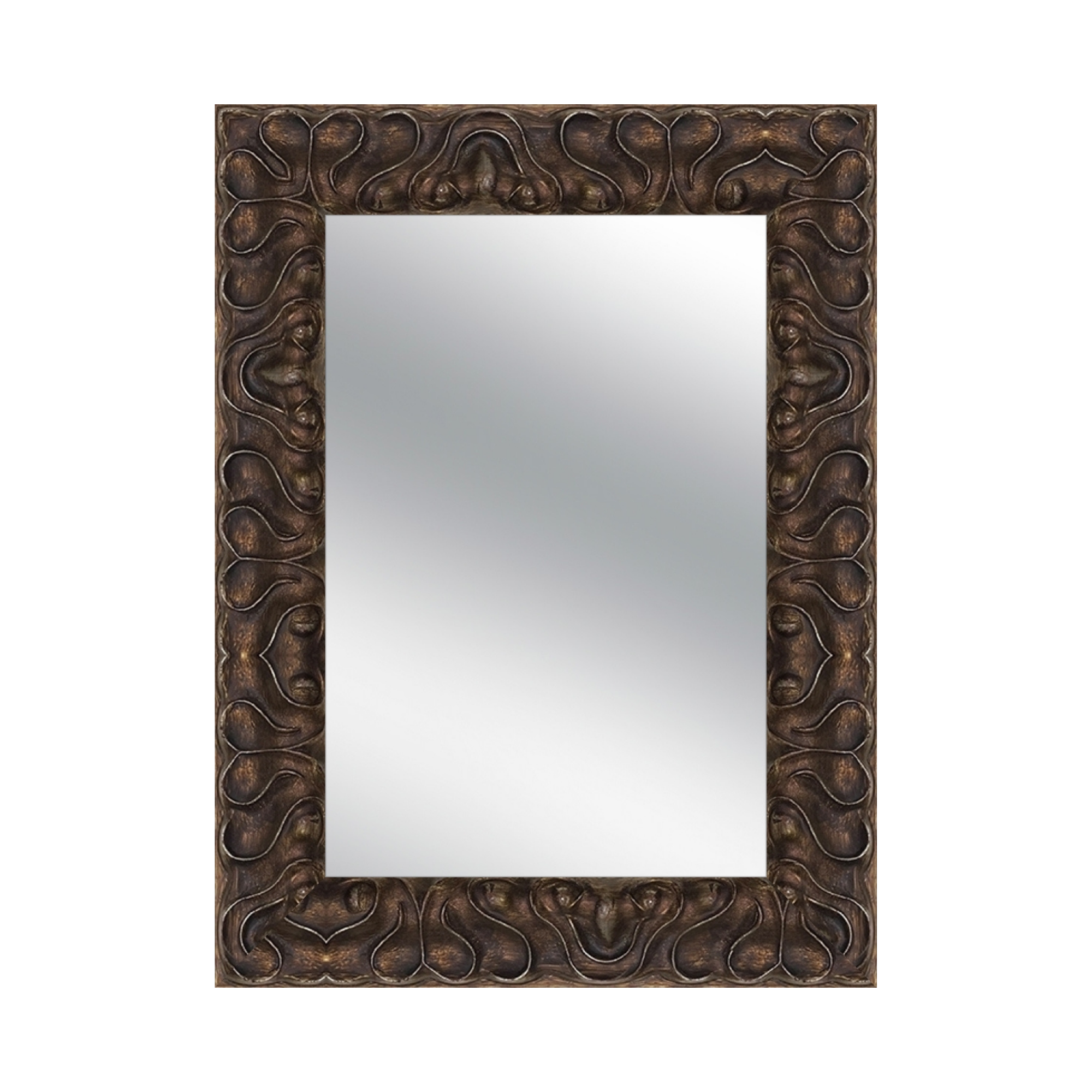 Ornate Mirror Frame