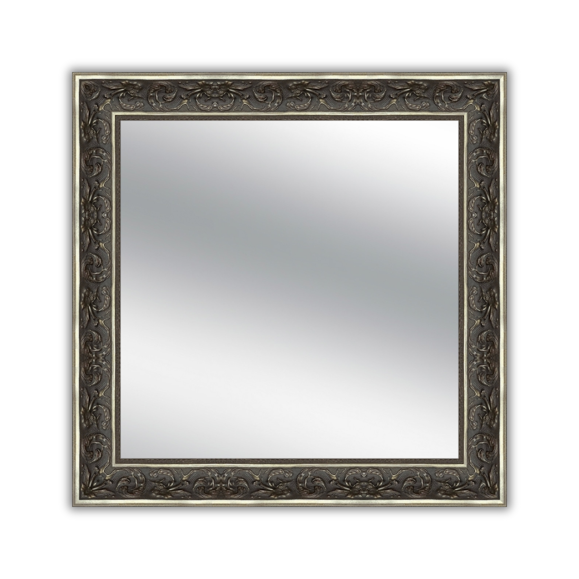 Ornate Mirror Frame