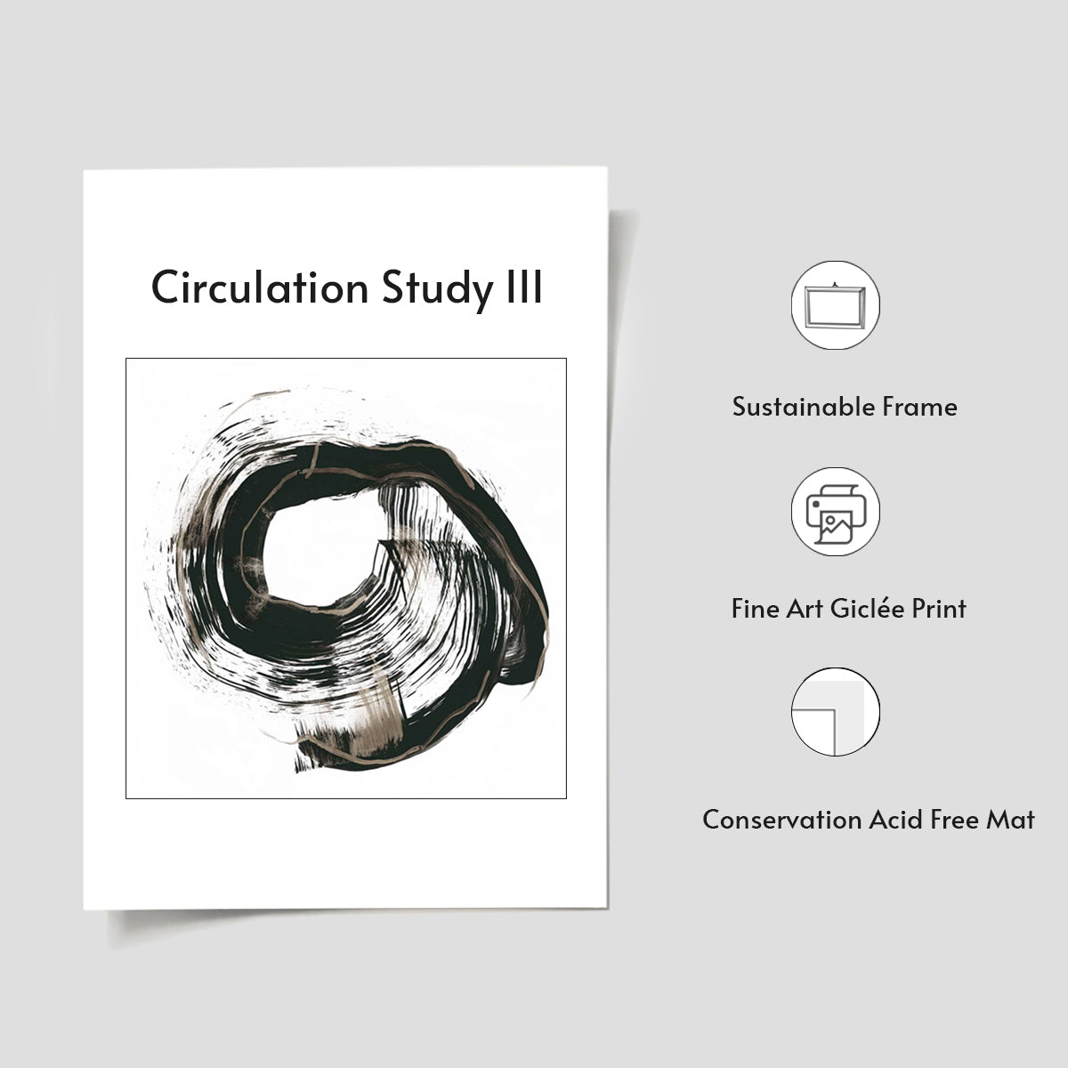 Circulation Study III
