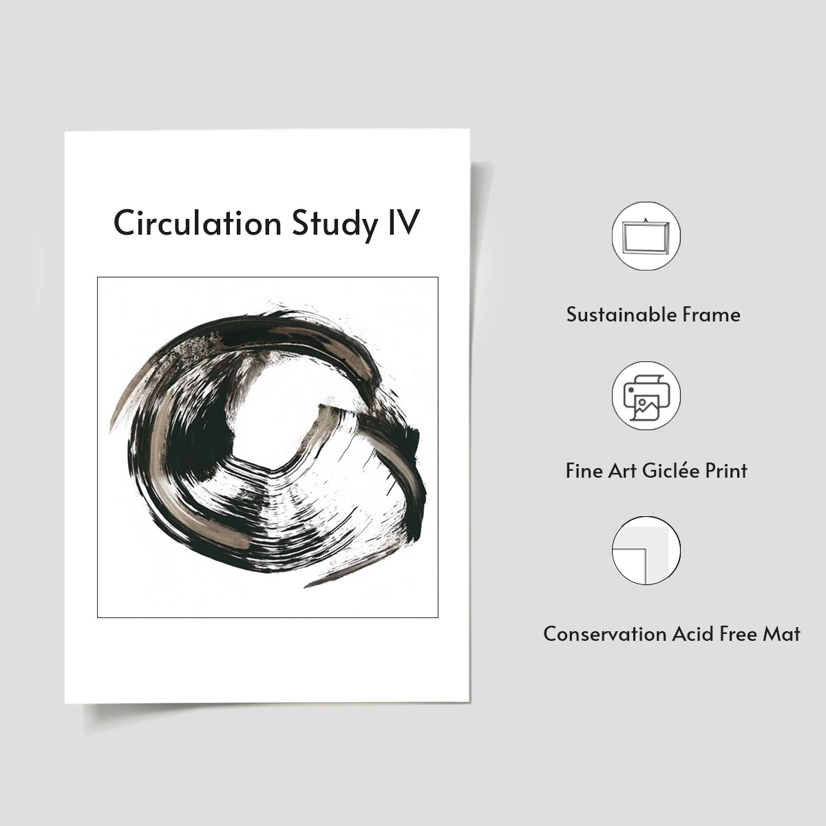 Circulation Study IV