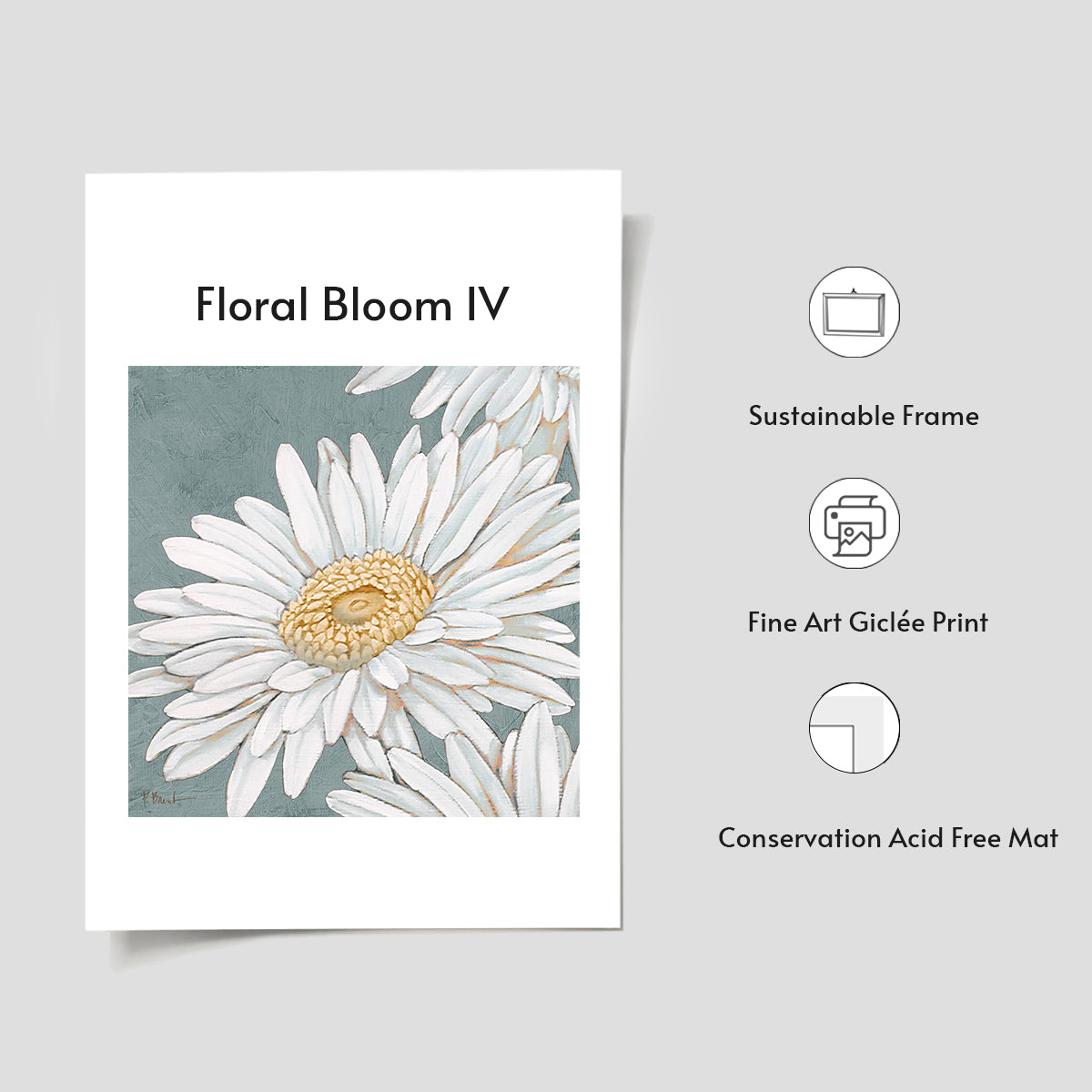Floral Bloom IV
