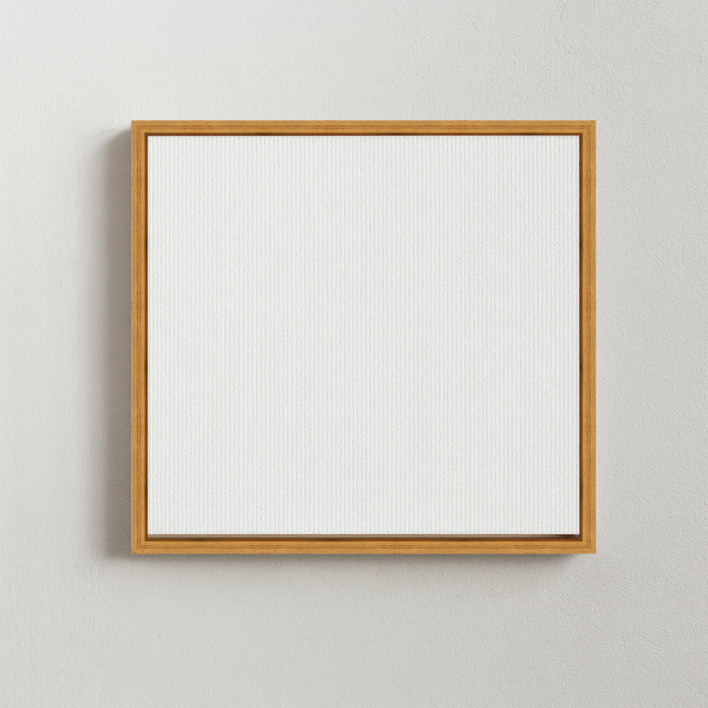 Framed Blank Canvas
