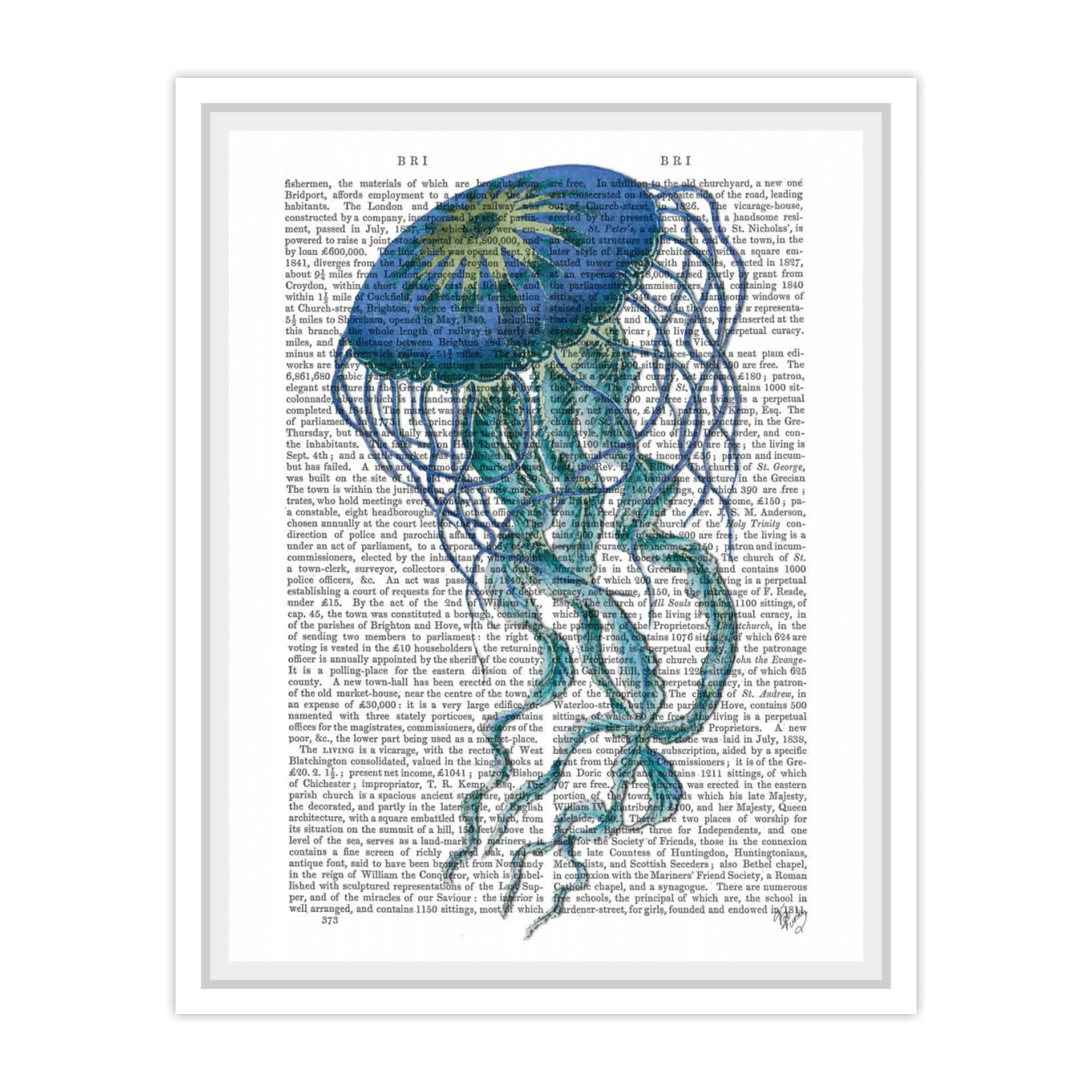 Blue Jellyfish 1